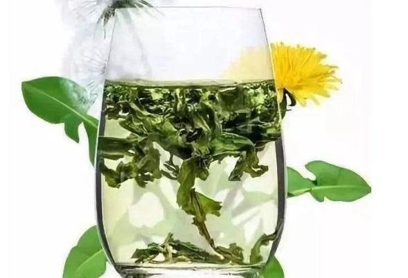 蒲公英茶副作用 蒲公英茶副作用