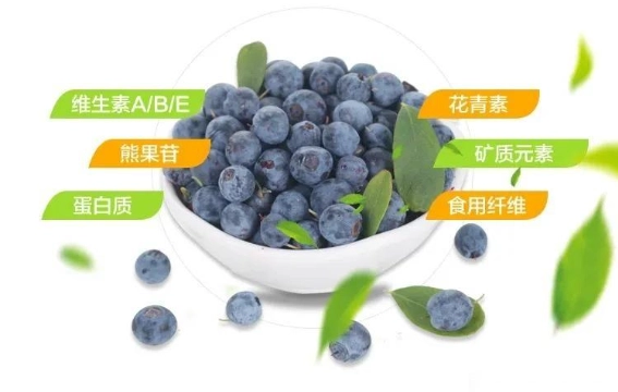 花青素食用注意 花青素食用注意