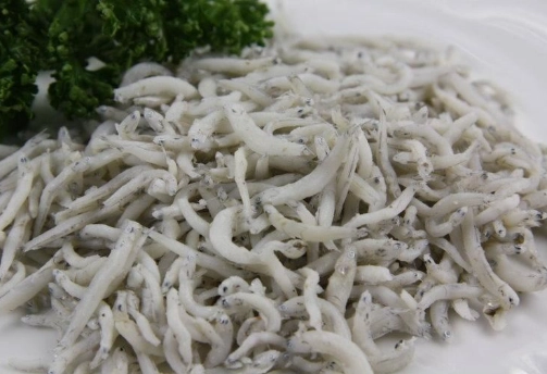 吻仔魚健康功效 吻仔魚健康功效