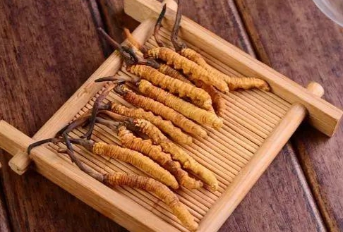 冬蟲夏草禁忌 冬蟲夏草禁忌