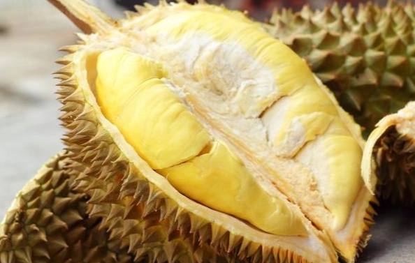 榴槤每日食用 榴槤每日食用