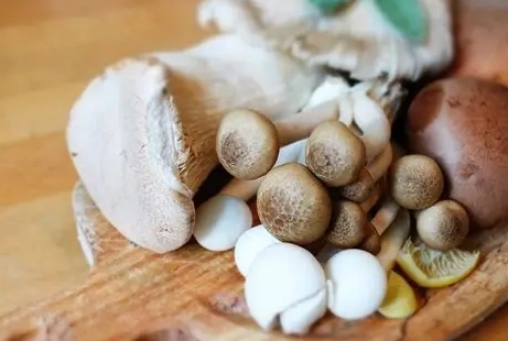 素食蛋白質來源 素食蛋白質來源