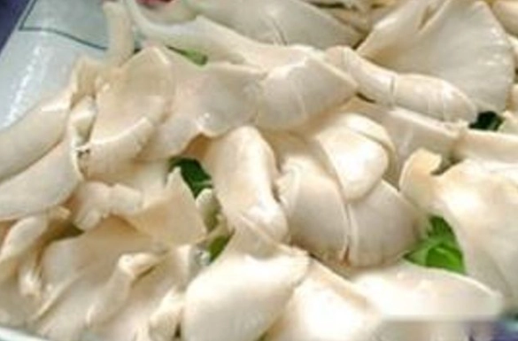 菇類不能同食