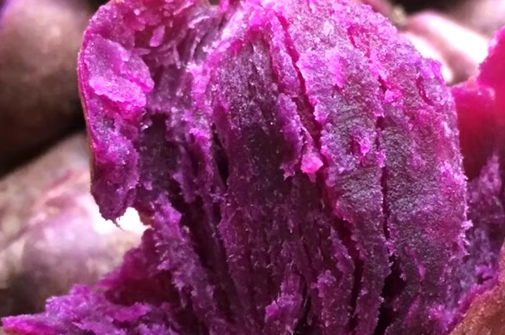 紫薯與地瓜比較 紫薯與地瓜比較