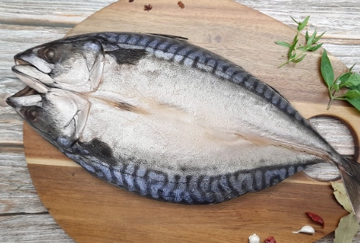 鯖魚營養價值 鯖魚營養價值