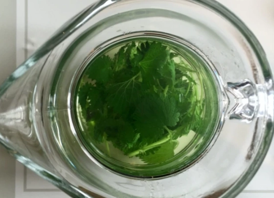芫茜水注意事項 芫茜水注意事項
