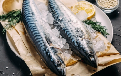 鯖魚蛋白質含量 鯖魚蛋白質含量