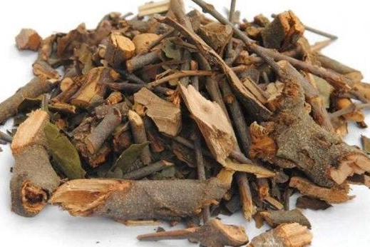 桑寄生茶副作用 桑寄生茶副作用