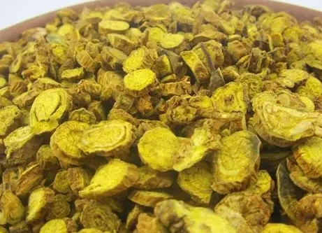 黃芩使用注意事項 黃芩使用注意事項