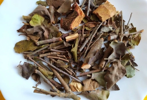 桑寄生茶副作用 桑寄生茶副作用