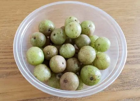 油甘子湯功效 油甘子湯功效