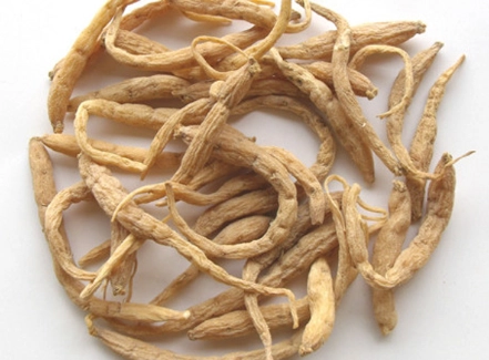 太子參怎麼吃 太子參怎麼吃