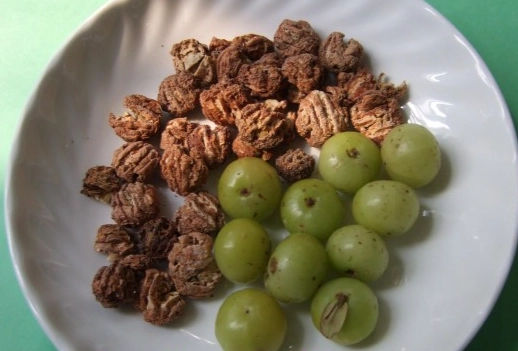 油甘子食譜 油甘子食譜