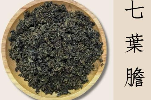 七葉膽副作用 七葉膽副作用