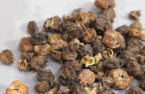 油甘子茶包推薦 油甘子茶包推薦
