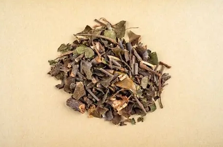 桑寄生茶誰不能喝 桑寄生茶誰不能喝