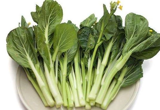油菜補鈣 油菜補鈣