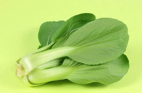 油菜補鈣 油菜補鈣