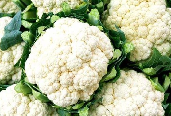 花椰菜食用 花椰菜食用