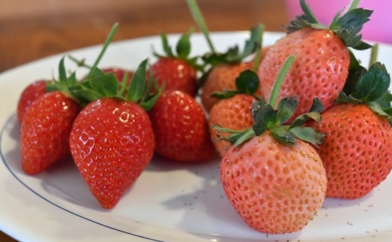 草莓健康吃法 草莓健康吃法