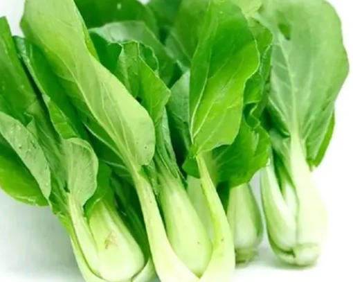 高鈣蔬菜 高鈣蔬菜