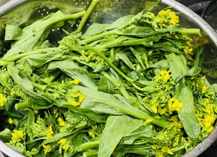 油菜花食譜 油菜花食譜