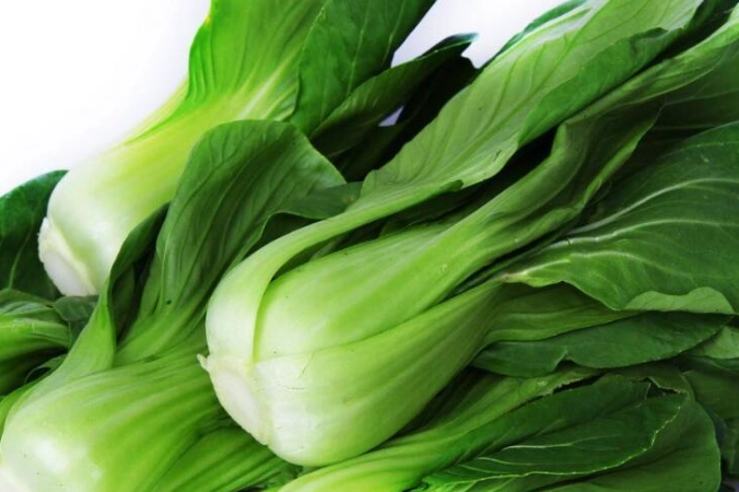 高鈣蔬菜 高鈣蔬菜