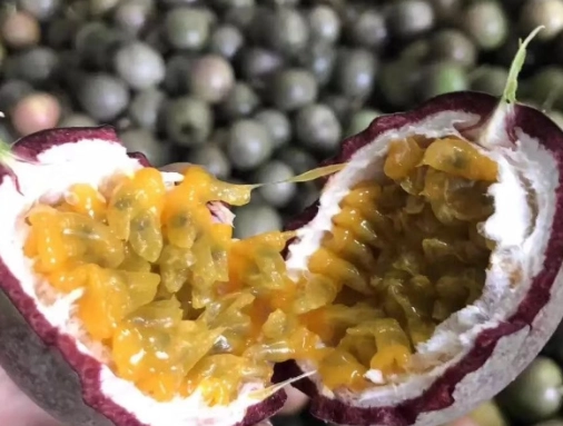 百香果食用禁忌 百香果食用禁忌