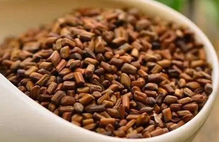麥香茶功效 麥香茶功效