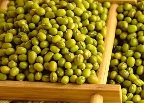 綠豆排毒 綠豆排毒
