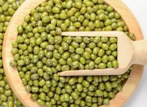 綠豆減肥效果 綠豆減肥效果