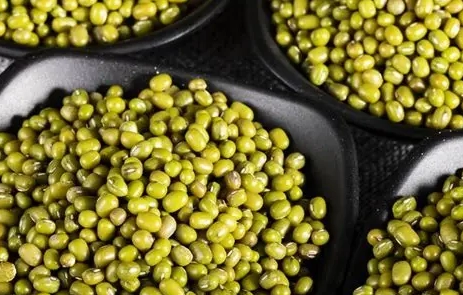 綠豆解毒 綠豆解毒