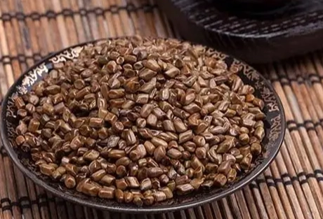 決明子每天喝 決明子每天喝