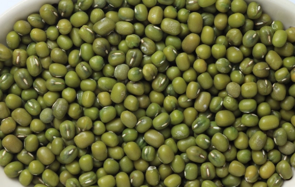 綠豆解毒 綠豆解毒