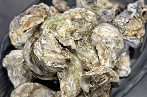 鮮蚵餐廳推薦 鮮蚵餐廳推薦