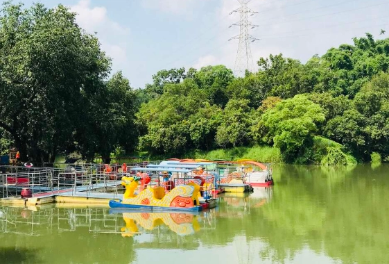 台南夏天旅游 台南夏天旅游