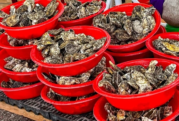 鮮蚵道地美食 鮮蚵道地美食