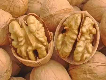 生核桃食用安全 生核桃食用安全