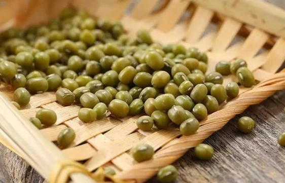 綠豆可以每天吃嗎 綠豆可以每天吃嗎