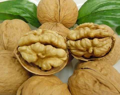 生核桃食用安全 生核桃食用安全
