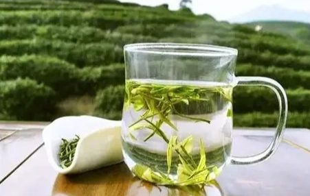 綠茶天天喝 綠茶天天喝