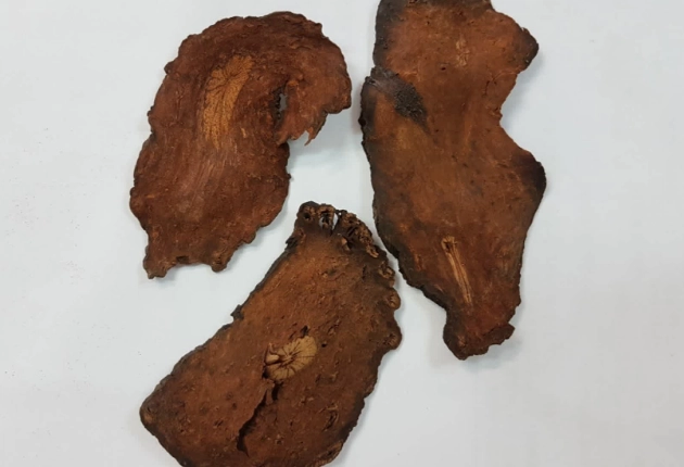 何首烏功效