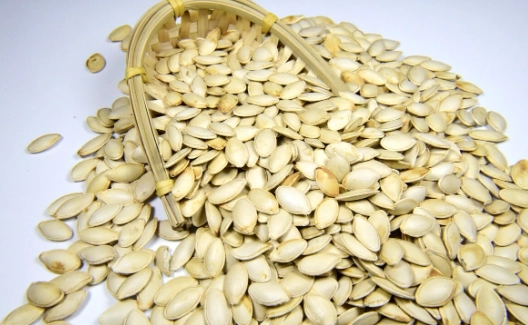 南瓜子食用禁忌 南瓜子食用禁忌
