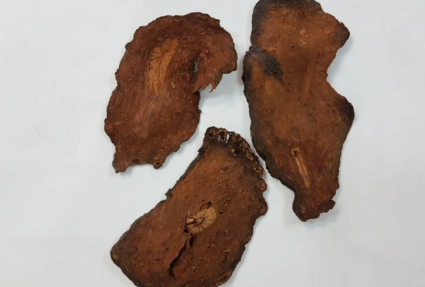 何首烏副作用