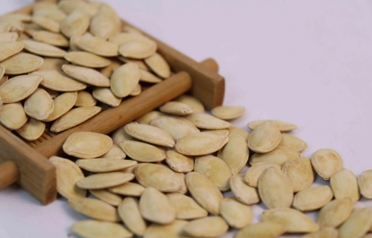 南瓜子食用禁忌 南瓜子食用禁忌