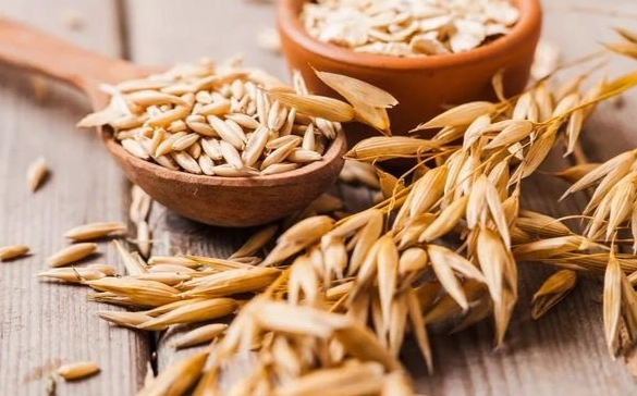 燕麥熱量 燕麥熱量