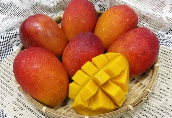 芒果热量 芒果热量