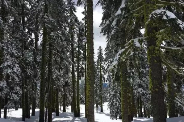 雪士達山難度 雪士達山難度