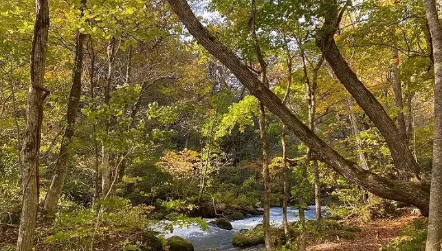 奧入瀨溪流 玩法 奧入瀨溪流 玩法