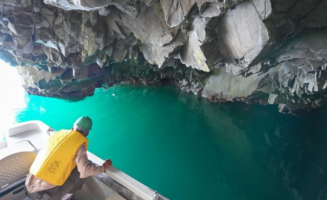 台灣藍洞旅遊 台灣藍洞旅遊